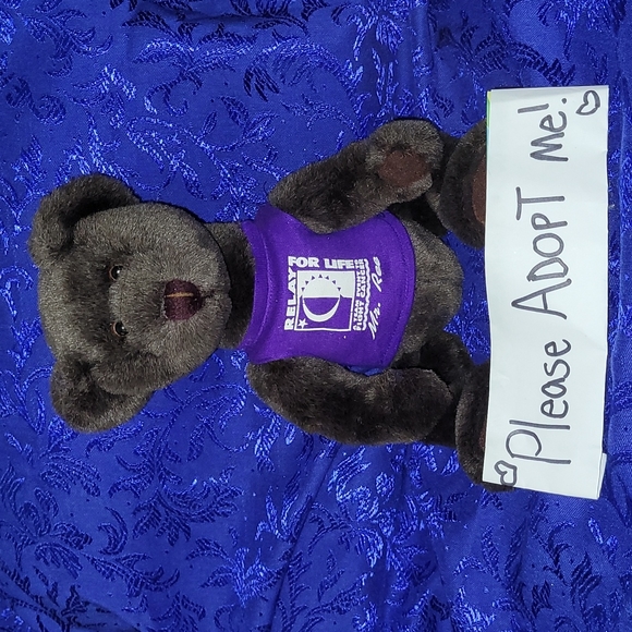 1998-1999 ACS Relay For Life "Mr. Ree" (mystery) Teddy Bear VTG Plush Logo Bear - Picture 1 of 17